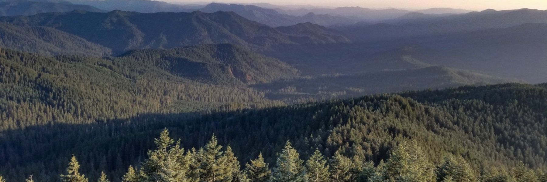 Forested ridges in evening light, H.J. Andrews Experimental Forest, Oregon